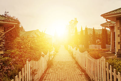 Footpath amidst trees against sky during sunset