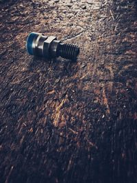 High angle view of shell on table