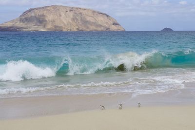 La graciosa island, canary