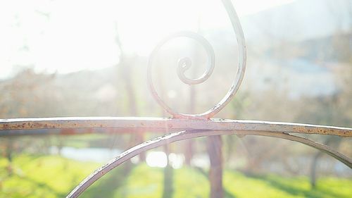 Close-up of chain on grass against trees