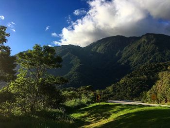 Scenic view of tree mountains against sky