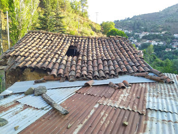 roof