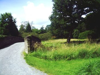 Footpath amidst trees in field