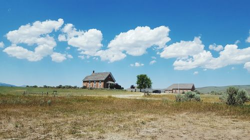 Trees on field against cloudy sky