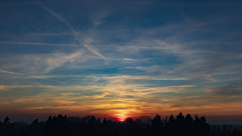 Low angle view of silhouette trees against sky during sunset