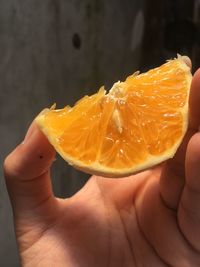 Close-up of hand holding orange slice
