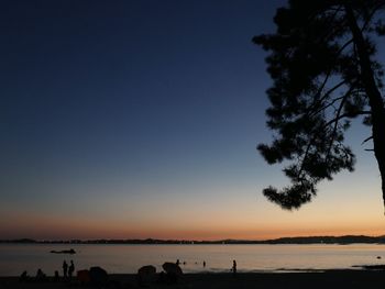 Silhouette trees on beach against clear sky during sunset