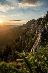 Scenic view of landscape against sky during sunset