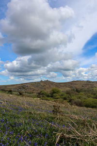 Scenic view of grassy field against cloudy sky