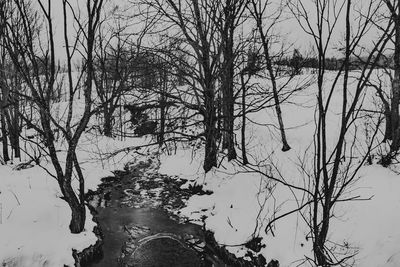 Bare trees on snow covered landscape against sky