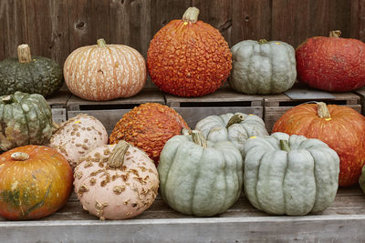 Colorful pumpkins and squash on a wooden table at a farmers market in fall.  woodstock, vermont.