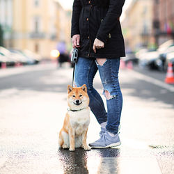 Low section of man with dog standing on street