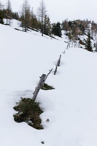Tree on snow covered landscape