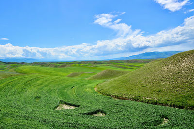 Qiongkushtai is a small kazakh village located in the isolated valley of the tianshan mountains.