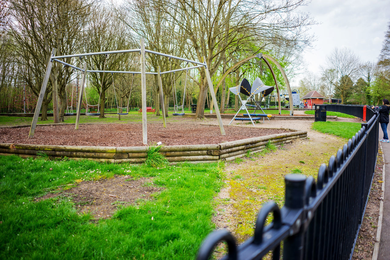 TREES IN PLAYGROUND