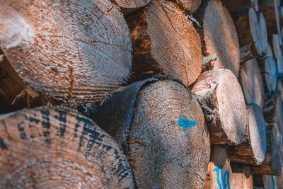 Full frame shot of logs in forest