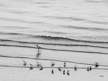 High angle view of people on beach