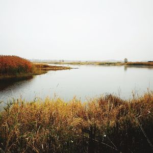 Scenic view of lake against clear sky