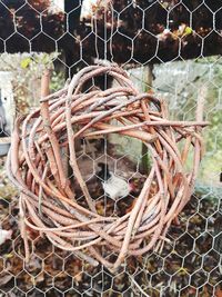 Close-up of metallic fence in cage