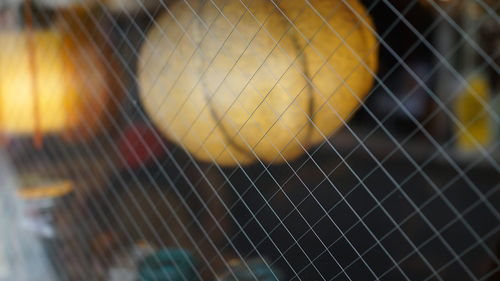 Close up of yellow flower