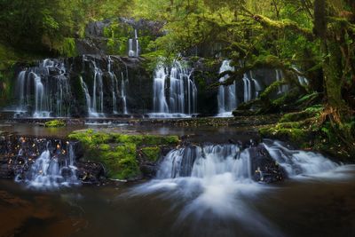 Scenic view of waterfall in forest