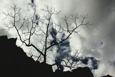 Low angle view of bare trees against cloudy sky