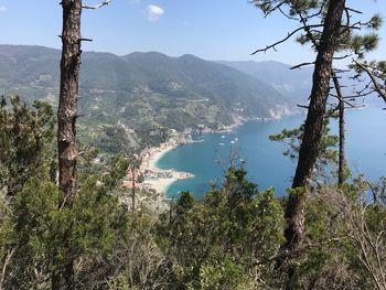 Scenic view of trees and mountains against sky