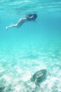 Man swimming in sea