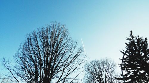 Low angle view of bare trees against clear blue sky