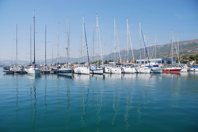 Sailboats moored in harbor