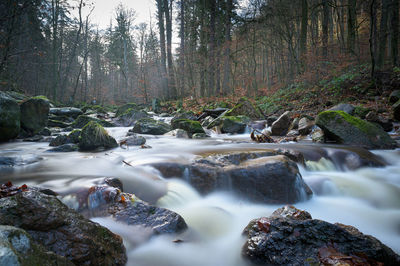 River flowing through rocks in forest