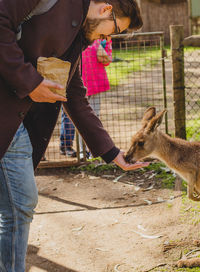 Full length of woman standing at zoo