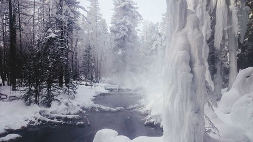 Scenic view of snow covered landscape