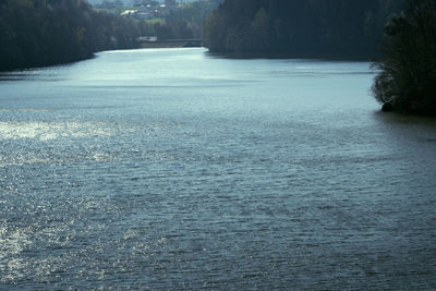 Scenic view of river in forest