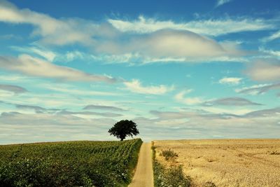 Scenic view of land against sky