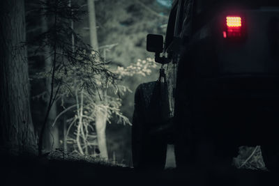 Rear view of man standing in forest