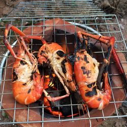 Seafood on barbecue grill