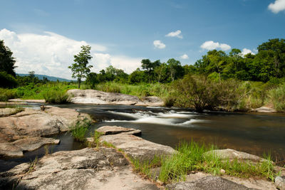 River flowing through rocks in forest against sky