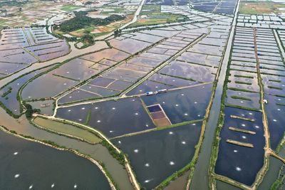 High angle view of agricultural field