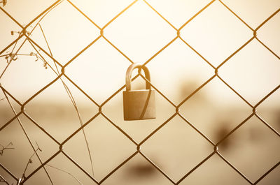 Close-up of padlocks on chainlink fence