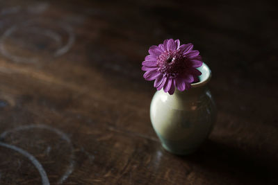 High angle view of pink daisy in vase on table