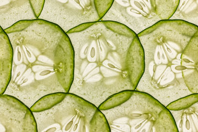 Full frame shot of thin slices of cucumber lit from behind
