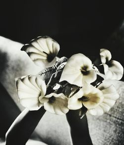 Close-up of hand holding flowers