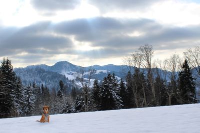 Scenic view of snow covered mountains against sky