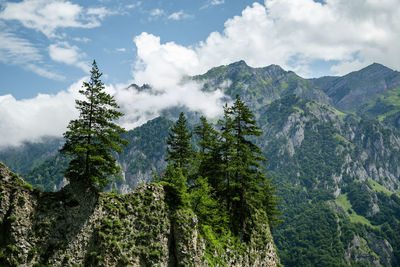 Panoramic view of trees and mountains against sky