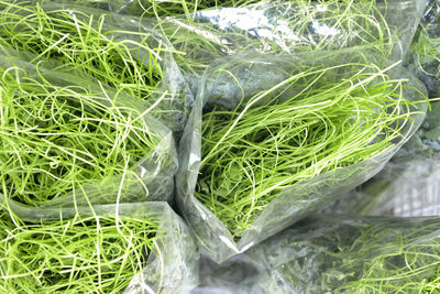 Close-up of fresh green leaf