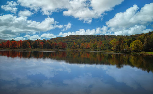 reflection