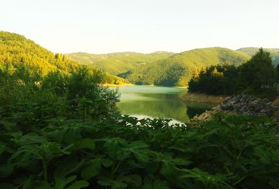 Scenic view of lake and trees against clear sky