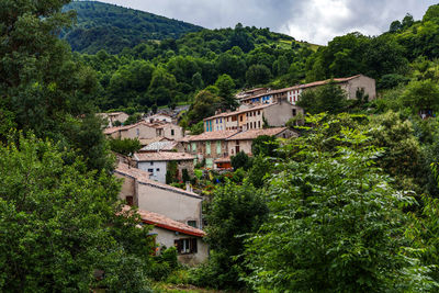 Houses and trees in forest against sky