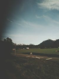 Trees on grassy field